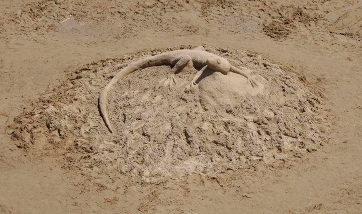 Festival of sand sculptures 2022. - Lopar 0